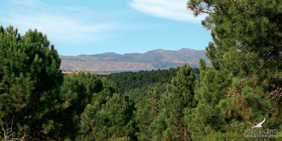 Terreno en Venta en Santa Maria con 10.000 m2 de terreno - imagen 5