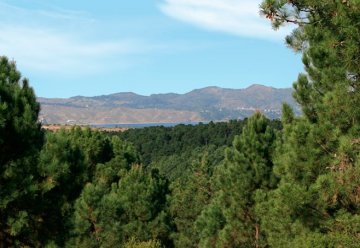 Terreno en Venta en Santa Maria con 10.000 m² de lote - Imagen 5
