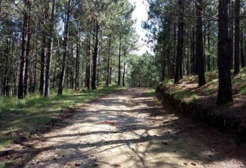 Terreno en Venta en Santa Maria con barrio privado - Imagen 3