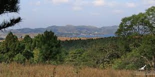 Terreno en Venta en Santa Maria - imagen 5