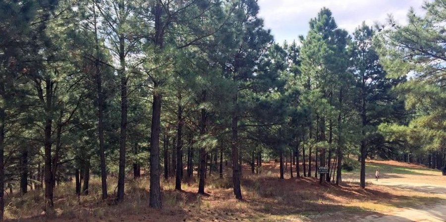 Terreno en Venta en Santa Maria - imagen 4
