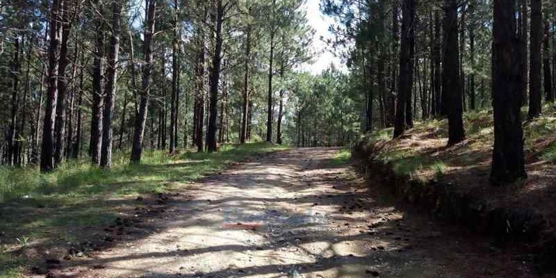 Terreno en Venta en Santa Maria - imagen 3