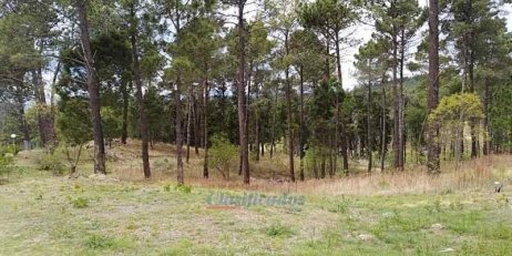 Terreno en Venta en Santa Maria - imagen 2