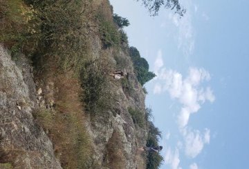 Terreno en Venta en La Cumbrecita con 2.018 m² de lote y barrio privado - Imagen 2