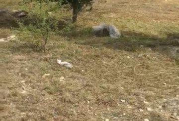 Terreno en Venta en Villa Carlos Paz con frente 50 m y largo 20 m - Imagen 3