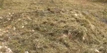 Terreno en Venta en Villa Carlos Paz con 1.000 m2 de terreno - imagen 5