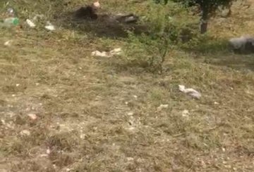 Terreno en Venta en Villa Carlos Paz con frente 50 m y largo 20 m - Imagen 1