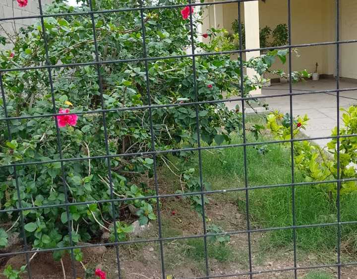 Casa en La Rioja para en Venta · dueño directo · 3 dorm · 6 ambientes · 1,2 m² de lote - Imagen 4