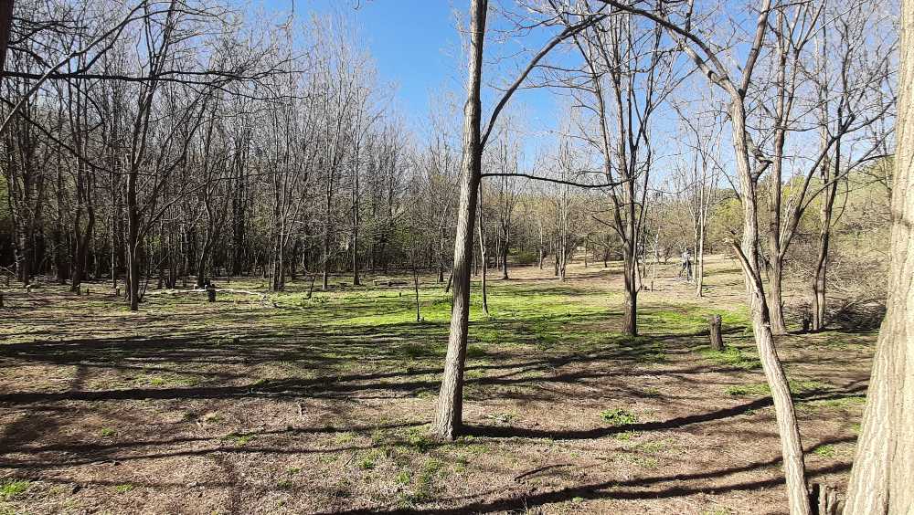 Campo en Traslasierra Cordoba - Imagen 2