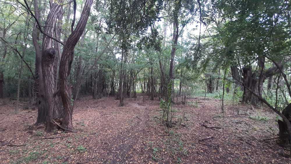 Campo en Traslasierra Cordoba - Imagen 4