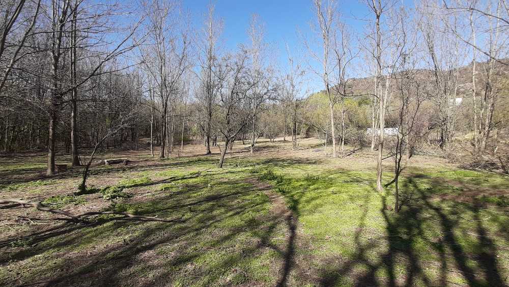 Campo en Traslasierra Cordoba - Imagen 5