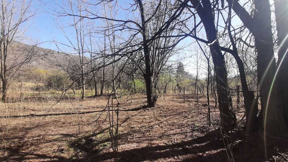 Campo En Traslasierra Cordoba - Campo en Venta en Villa Las Rosas con Agrícola - imagen 6