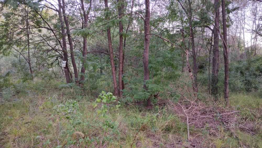 VENDO LOTE B° JARDÍN DE EPICURO