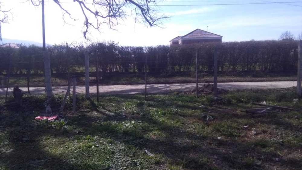 Vendo Lote 12*44 Mts Sobre Calle Sarmiento 2500 / Yerba Buena - Imagen 2