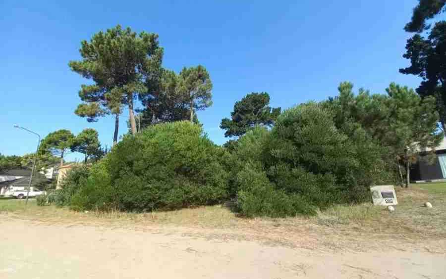 Casa en Venta en Pinamar · dueño directo · 1,08 m² de lote - Imagen 3