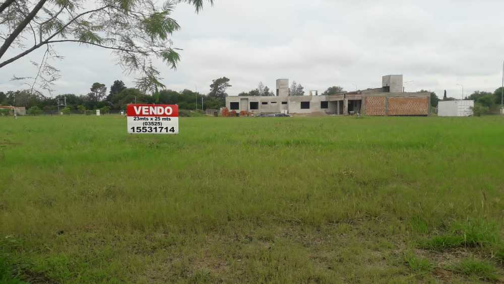 los aromos, Jesus Maria