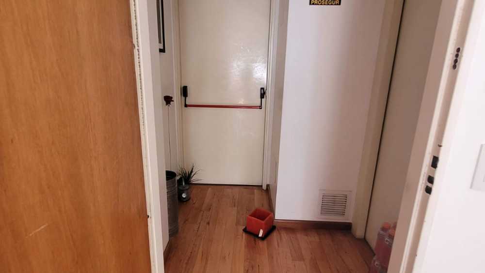 Impecable Semipiso dos ambientes con dos patios muy luminosp - Imagen 4