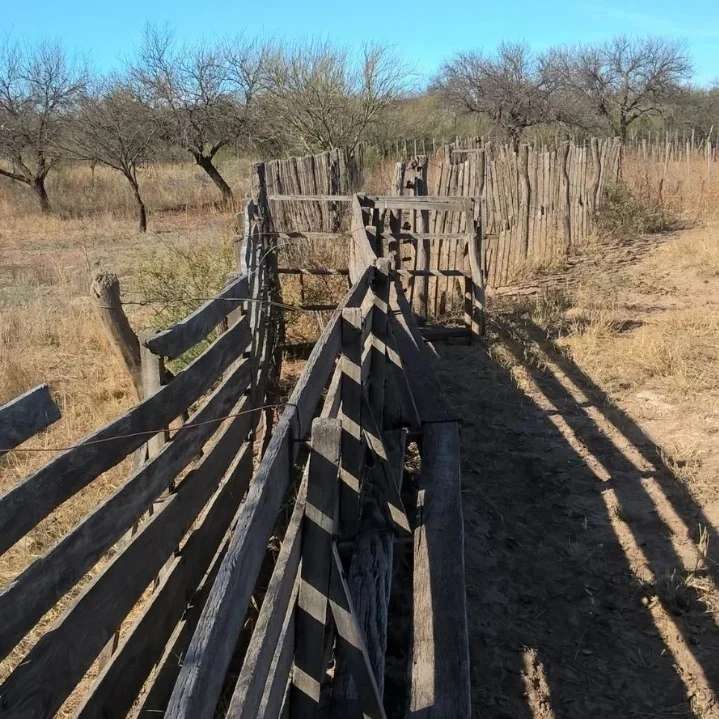 Se Vende o Se Alquila Hectáreas de Estancia en Punta de Agua Lafinur - Imagen 2
