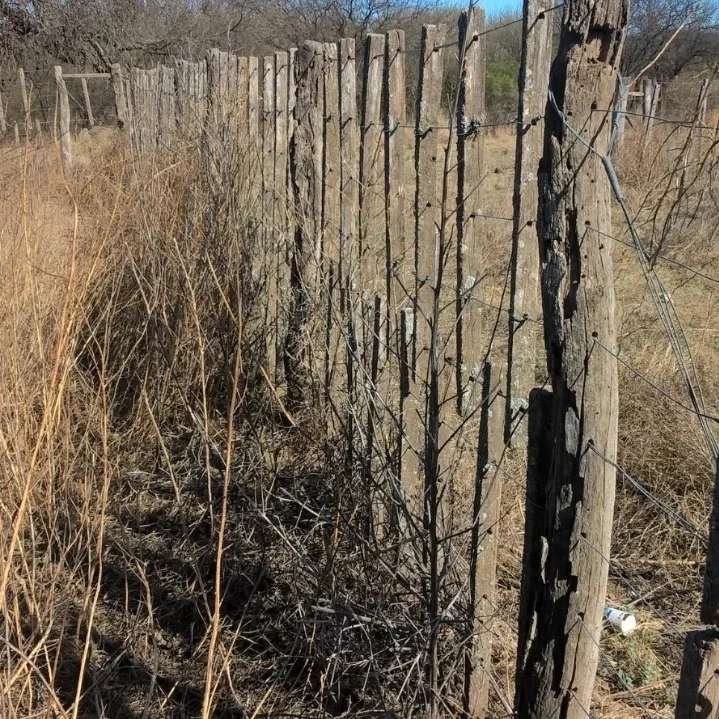 Se Vende O Se Alquila Hectreas De Estancia En Punta De Agua Lafinur - Campo en Venta en San Luis con Ganadero y 2.452.550 ha - imagen 6