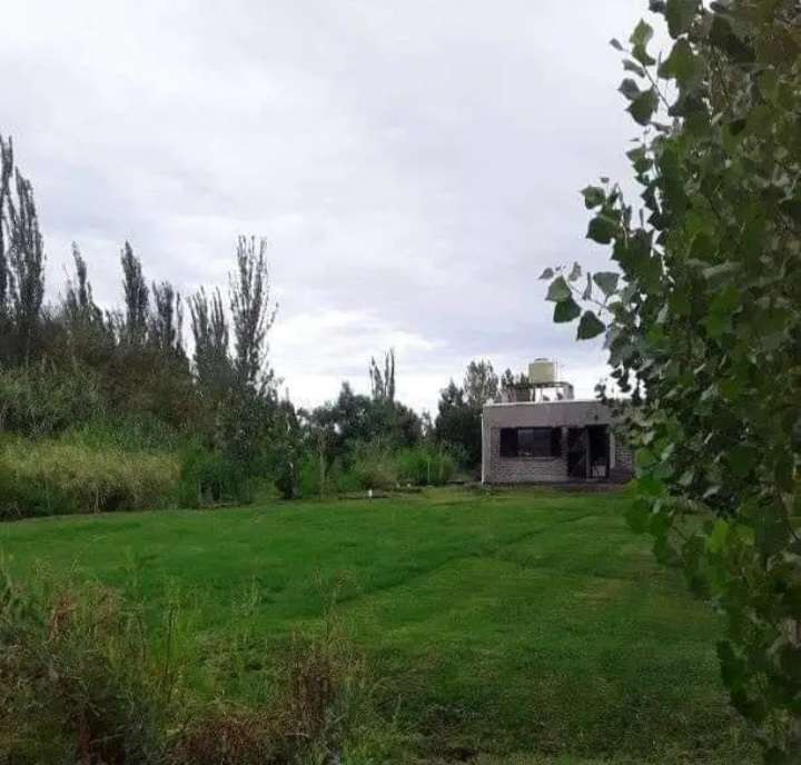 Casa en venta en zona rural de Guaymallén. Kilómetro 8. - Imagen 5