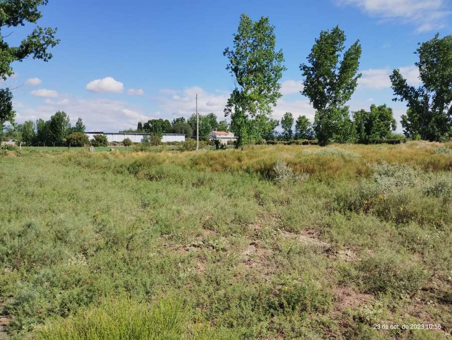 En Colonia Tres de Mayo, Casa en Venta · dueño directo · 800 m² de lote - Imagen 1