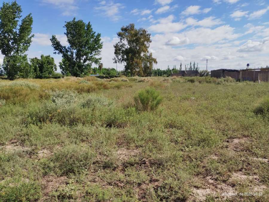 En Colonia Tres de Mayo, Casa en Venta · dueño directo · 800 m² de lote - Imagen 3
