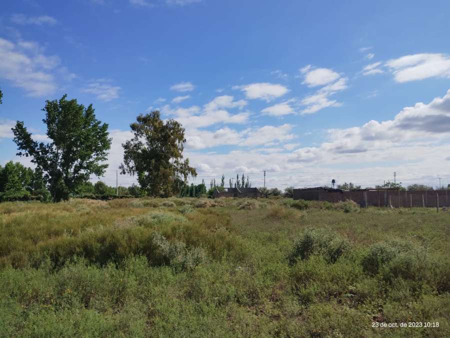 En Colonia Tres de Mayo, Casa en Venta · dueño directo · 800 m² de lote - Imagen 4
