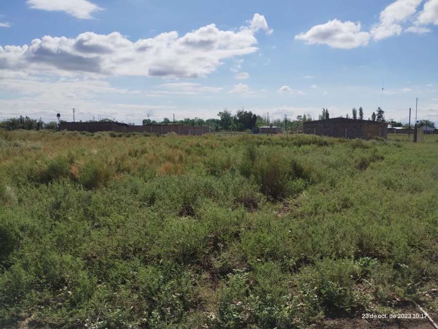 Terreno En Venta En Lavalle - Terreno en Venta en Colonia Tres de Mayo con 800 m2 de terreno - imagen 7
