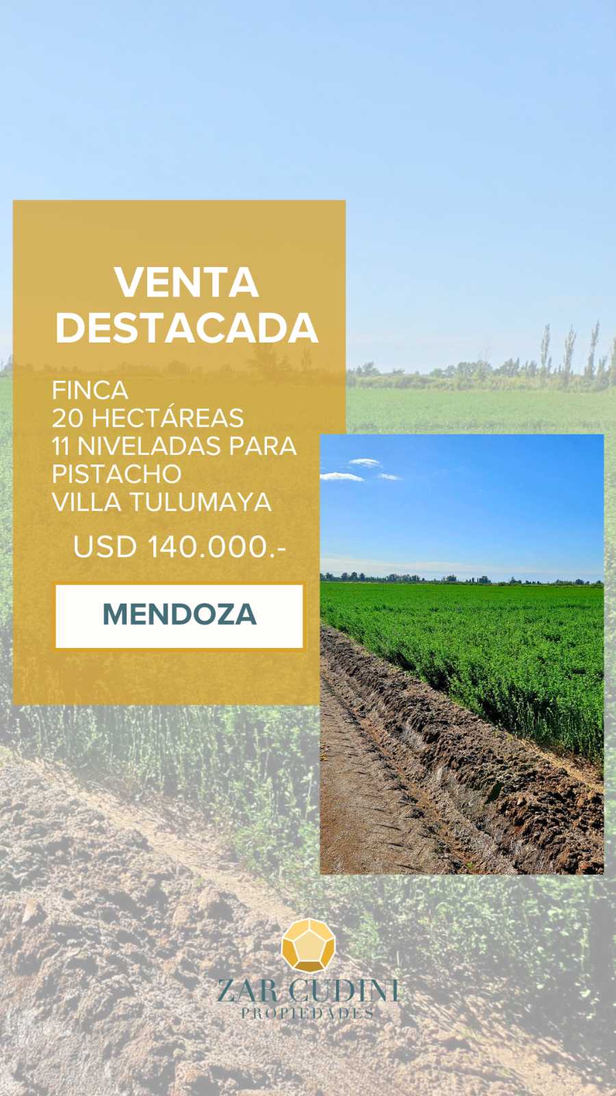 Venta FINCA LUJAN DE CUYO MENDOZA VIÑEDO - Imagen 1