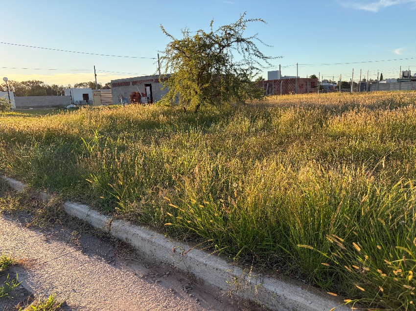 Terreno en venta en Ribetto II, General Deheza, con cloacas y cordón cuneta - Imagen 2