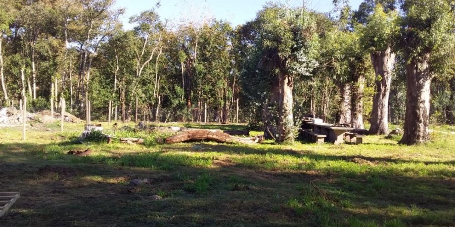Terreno en Venta en La Reja con 288 m2 de terreno - imagen 7
