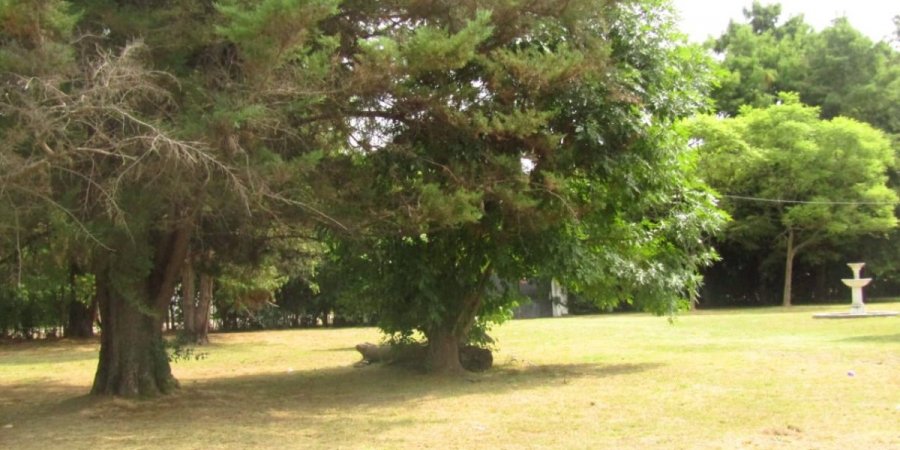 Terreno en Venta en La Reja con 288 m2 de terreno - imagen 2