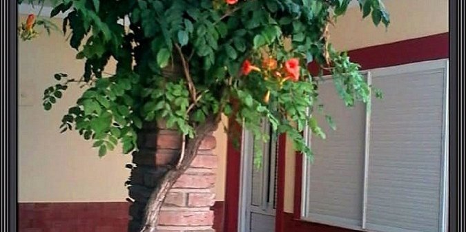 Hotel en Temporario en Cosquin - imagen 1