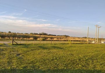 Terreno en Venta en Brandsen con frente 20 m y largo 50 m - Imagen 1
