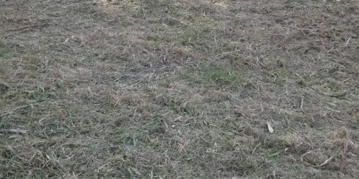 Terreno en Venta en Mar del Plata con 506 m2 de terreno - imagen 2