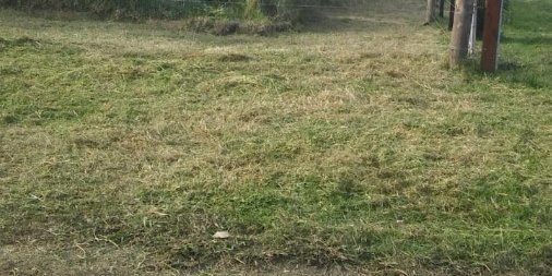 Terreno en Venta en Mar del Plata con 506 m2 de terreno - imagen 1