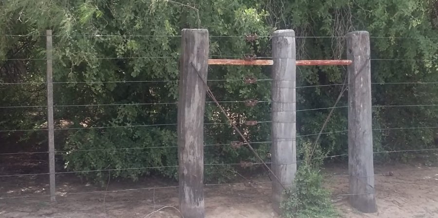 Campo en Venta en Córdoba con Ganadero y 1.600 ha - imagen 3
