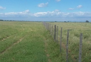 Campo en Venta en Córdoba con 1.600 ha - Imagen 5