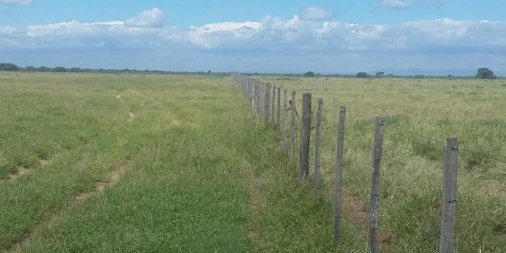 Campo en Venta en Córdoba con Ganadero y 1.600 ha - imagen 5