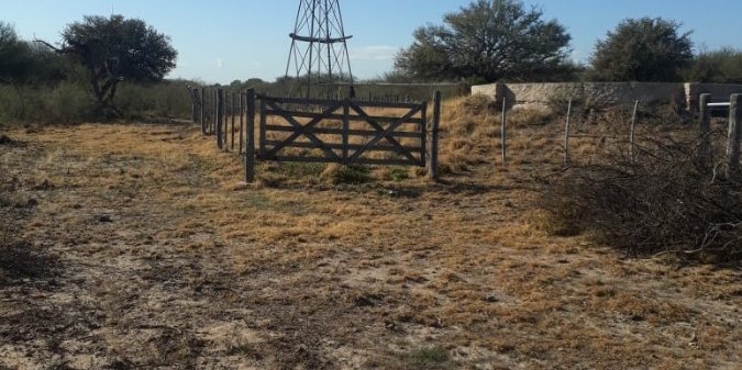 Campo en Venta en Córdoba con Ganadero y 1.600 ha - imagen 4
