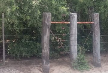 Campo en Venta en Córdoba con 1.600 ha - Imagen 3