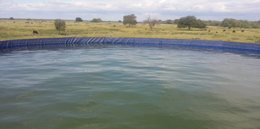 Campo en Venta en Córdoba con Ganadero y 1.600 ha - imagen 8