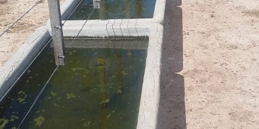 Campo en Venta en Córdoba con Ganadero y 1.600 ha - imagen 9
