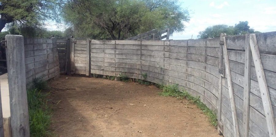 Campo en Venta en Córdoba con Ganadero y 1.600 ha - imagen 10