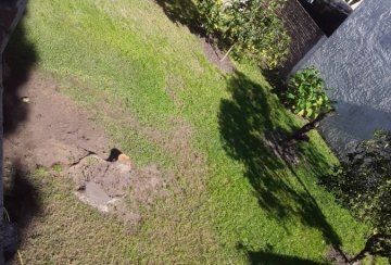 Terreno en Venta en Vicente Lopez con frente 1.039 m y largo 3.637 m - Imagen 3