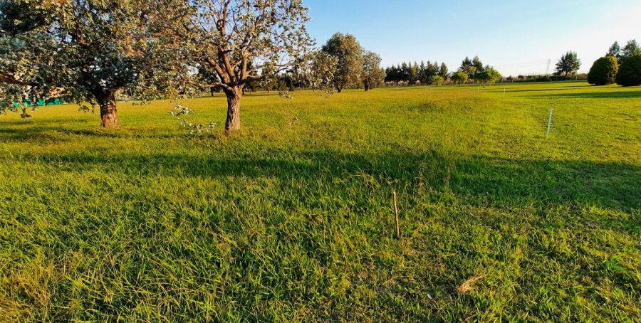 Increible Lote En Excluvio Barrio De San Vicente - Terreno en Venta en San Vicente con 2.717 m2 de terreno - imagen 3