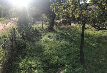 Casa en Venta en San Luis con 2 dorm y 3.067 m² de lote - Imagen 5