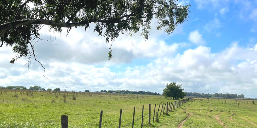Campo en Venta en Canuelas con Mixto y 176 ha - imagen 2