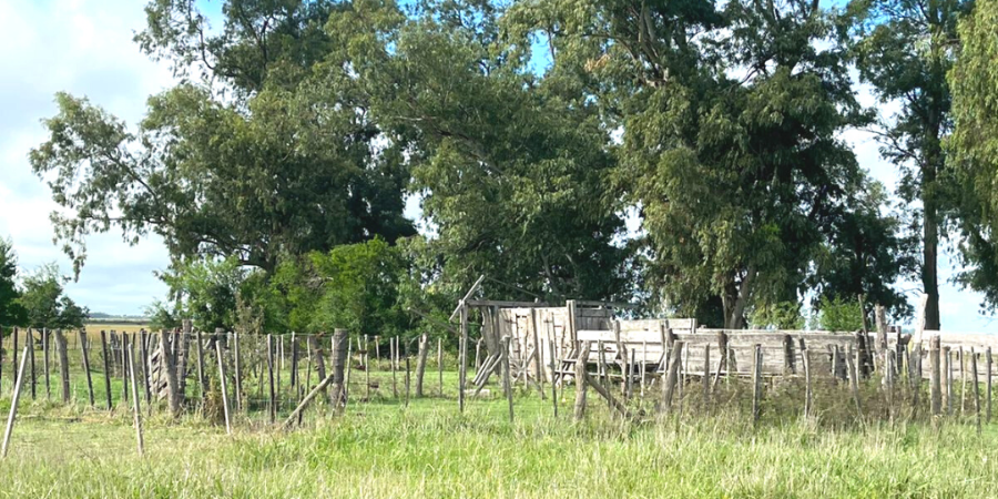 Campo en Venta en Canuelas con Mixto y 176 ha - imagen 6