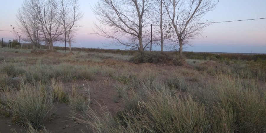 Terreno en Venta en Senillosa con 300 m2 de terreno - imagen 2
